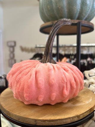 Velvet Pumpkins