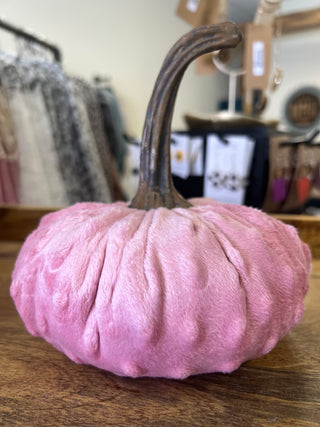 Velvet Pumpkins