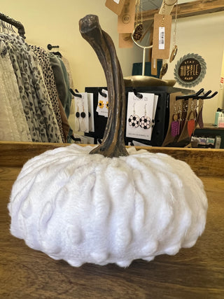 Velvet Pumpkins