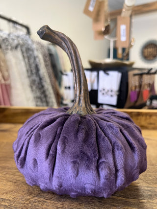 Velvet Pumpkins